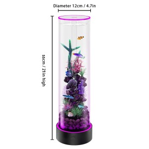  Desktop Small Fish Tank | Maintenance-Free, Year-Round Pure Water 12*55cm